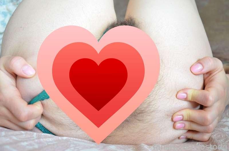 lostodg image #2