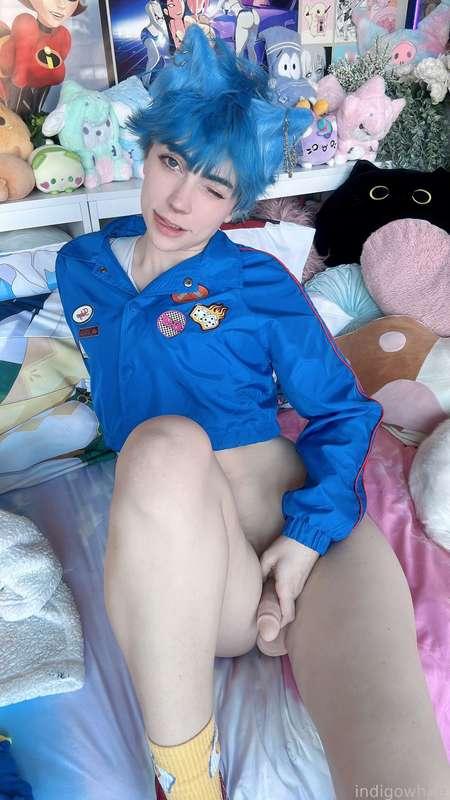 indigowhite image #159