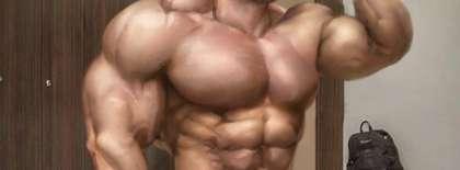 Muscle spoilers