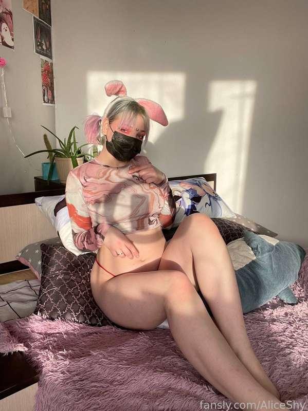 aliceshy image #0