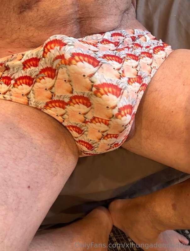 xlhungadendaddy image #0