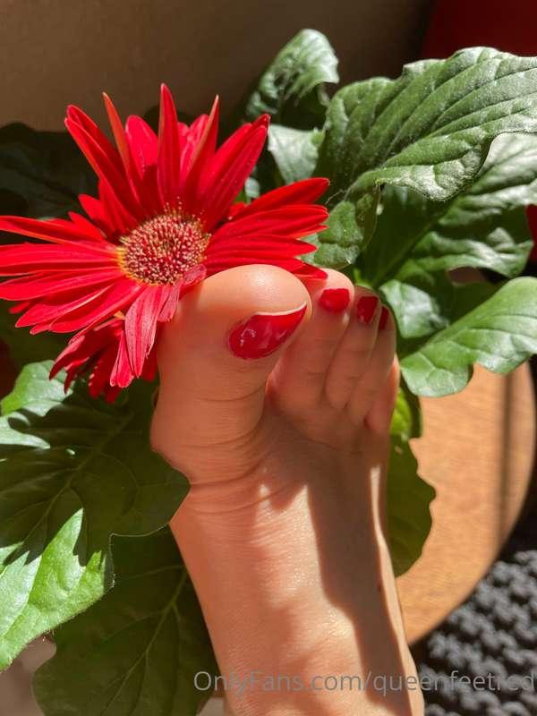☀️☀️☀️
