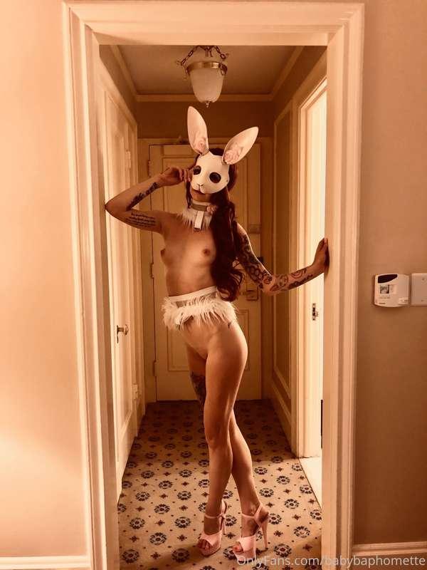 sex demon bunny #sexparty #sexclub #nude #bts #bunny