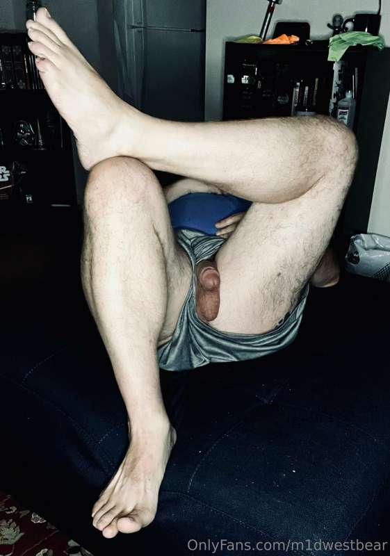 m1dwestbear image #4