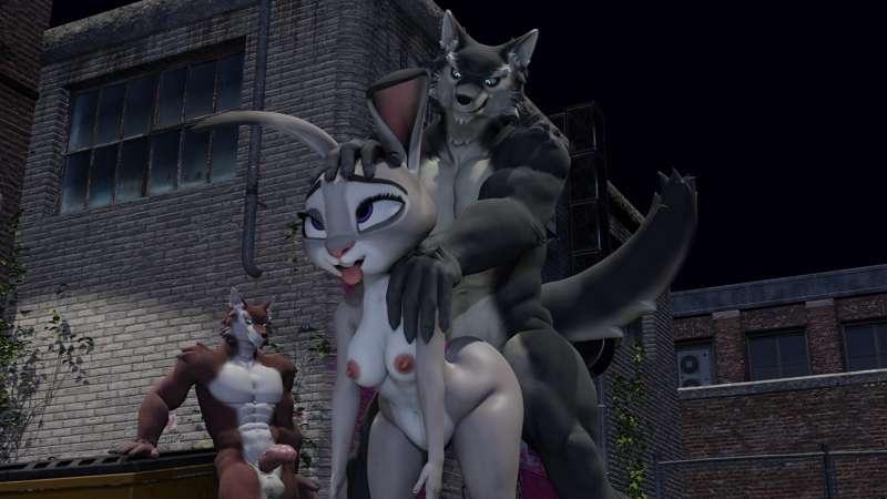 Judy's Stakeout