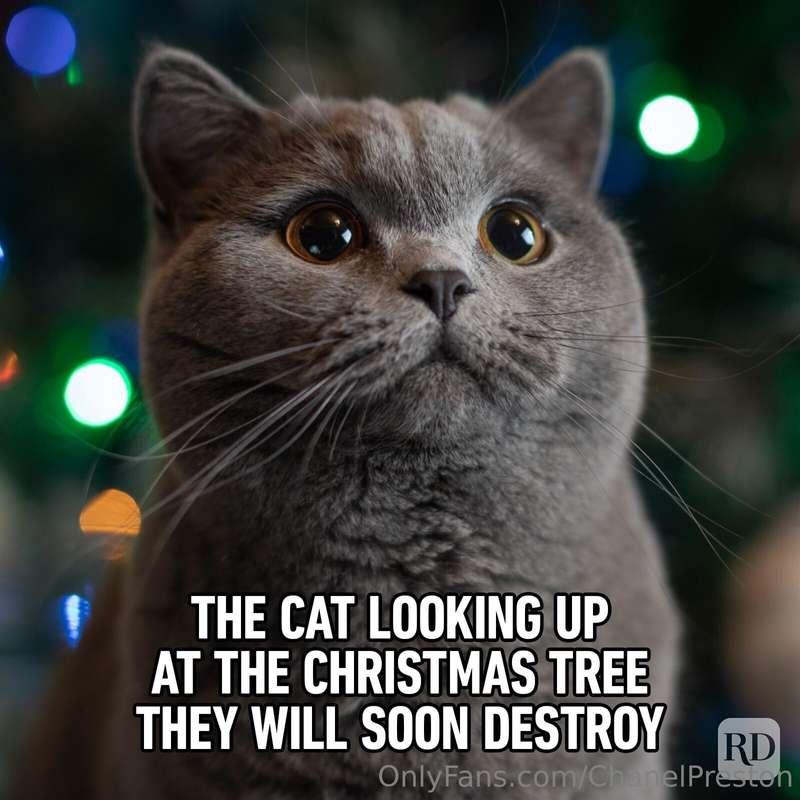 Still love them to pieces though! 🫶🏻🎄