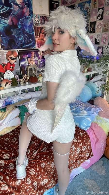 indigowhite image #171