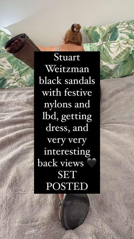 Stuart Weitzman black sandals with festive nylons and lbd, g..