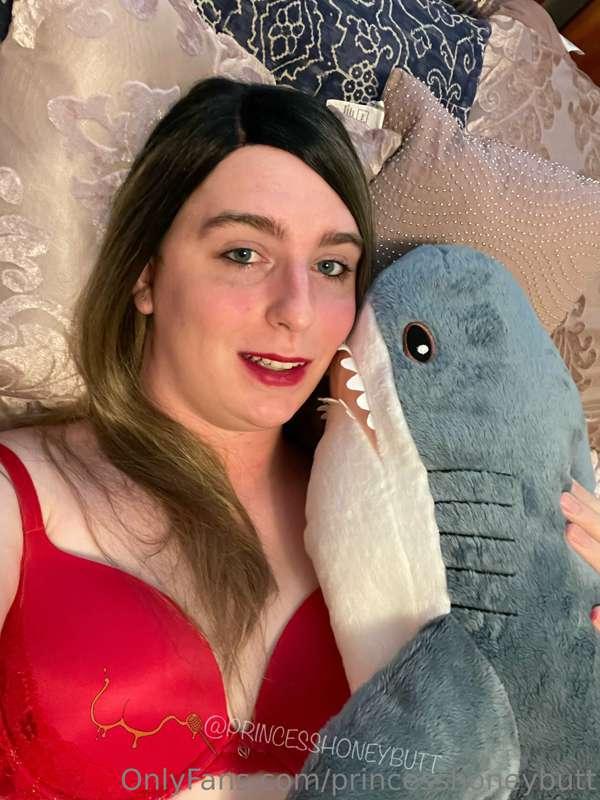 Just a cuddly shark.
