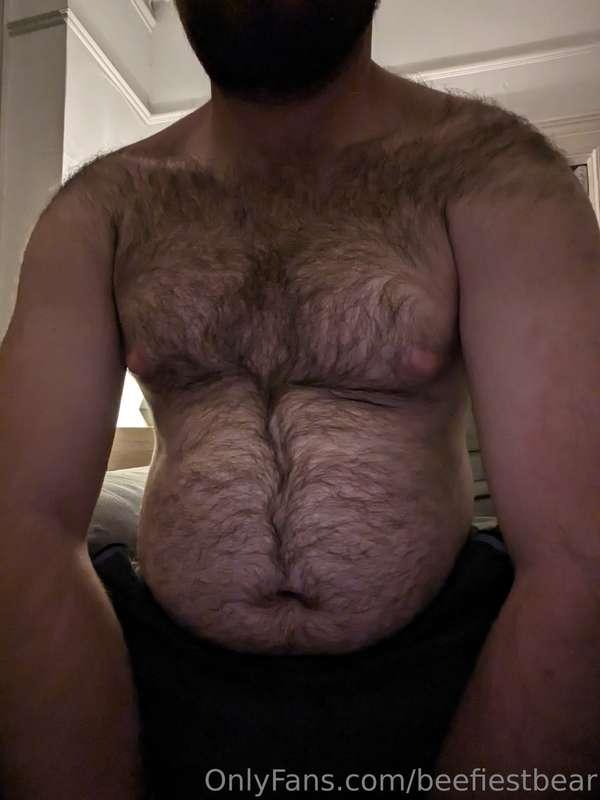 beefiestbear image #1