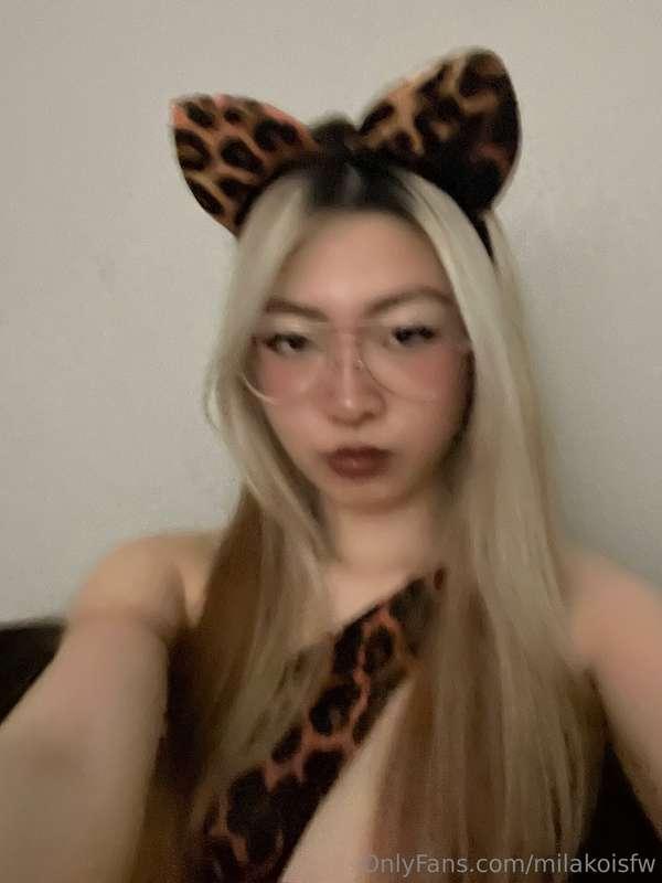 Kitty cat 🥰