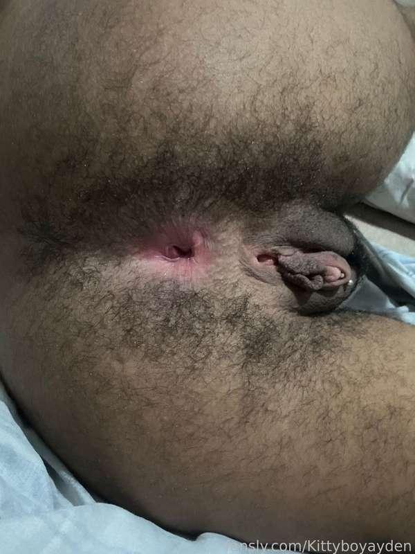 kittyboyayden image #2