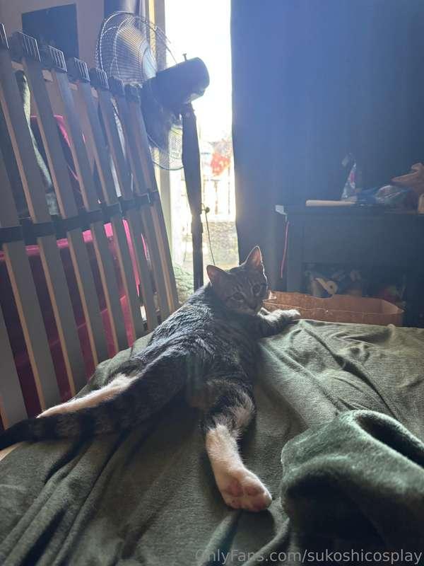 sukoshicosplay image #4
