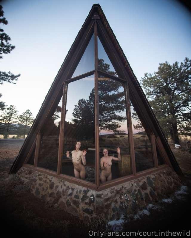 court.inthewild image #2