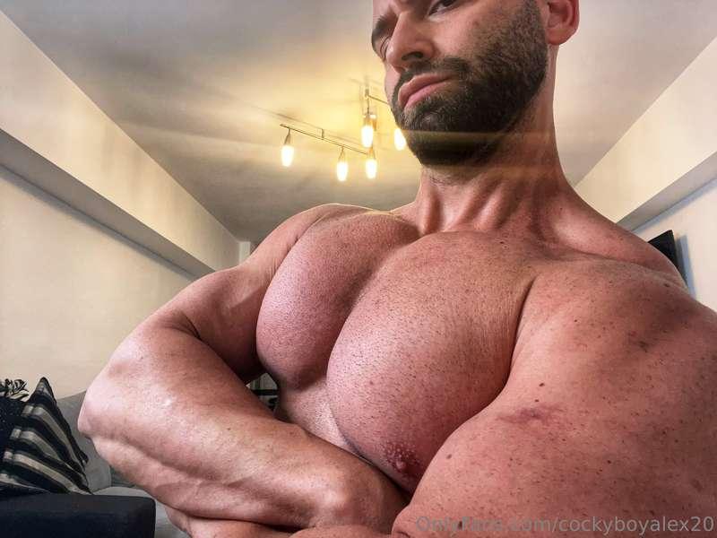 cockyboyalex20 image #0