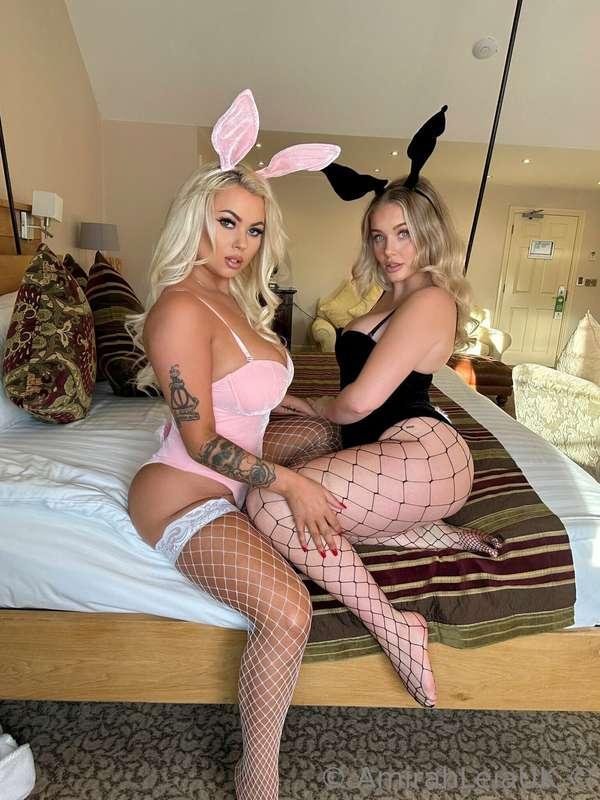 The last of the bunny content! Have you seen our Naughty Bun..