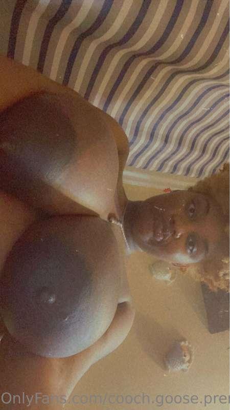 cooch.goose.premium image #0