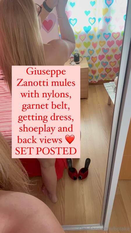 Giuseppe Zanotti mules with nylons, garnet belt, getting dre..