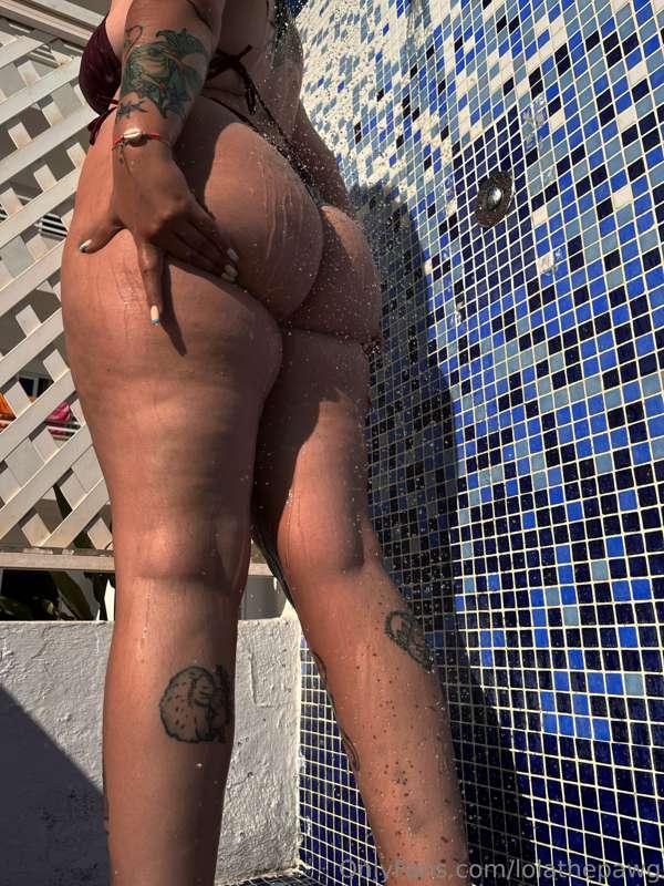 lolathepawg image #1