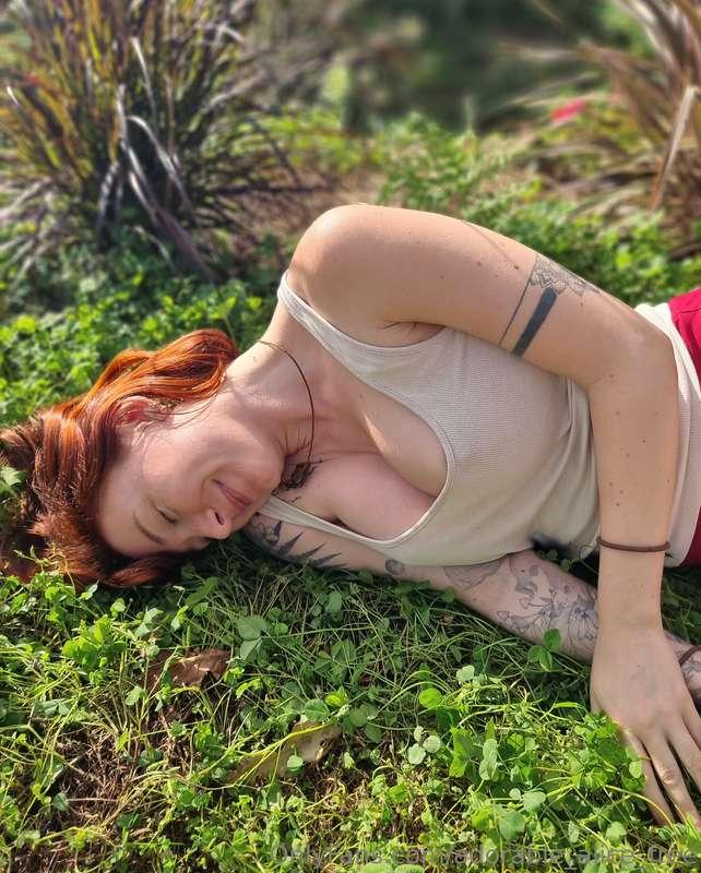 Wild and free 🦊