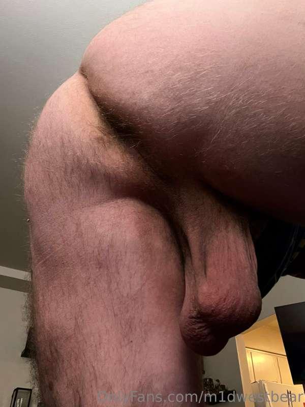 m1dwestbear image #0