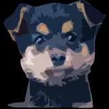 pop_doggy