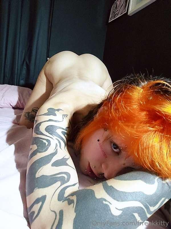 frreakkitty image #1