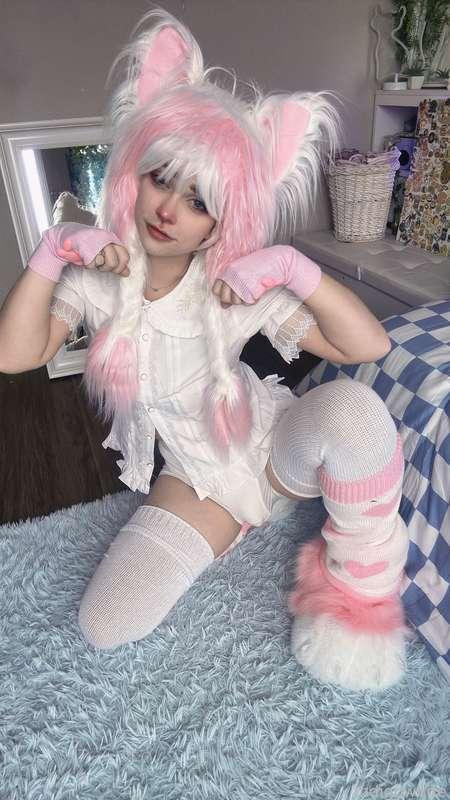 indigowhite image #121