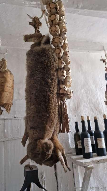 littlebrekker image #9