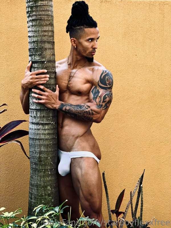 Wish you were this tree 🌳