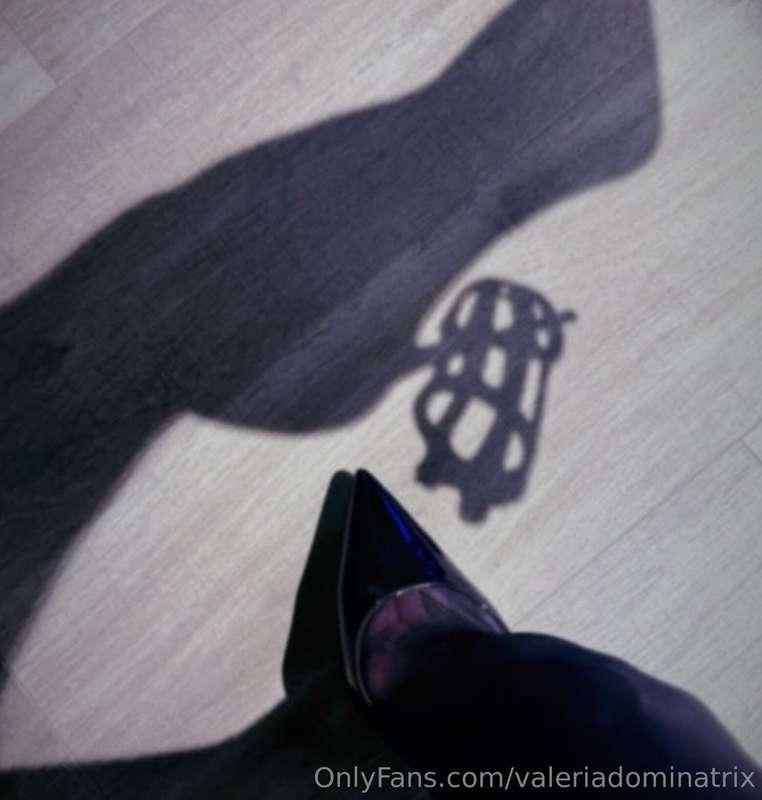 ¿Quieres que juguemos hoy con mi jaula? Me gustaría sometert..