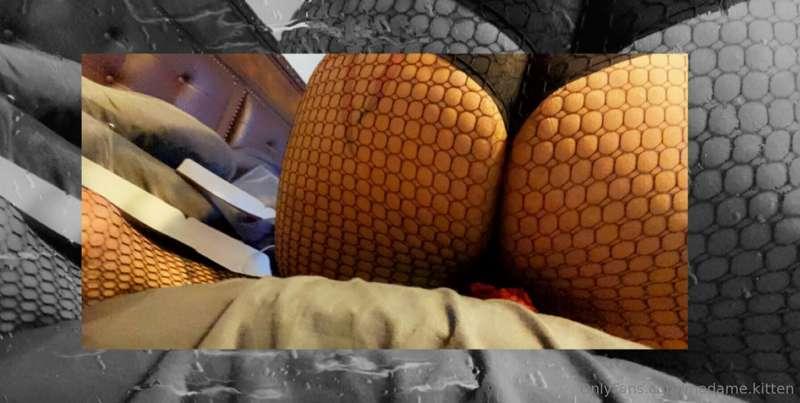 madame.kitten image #1