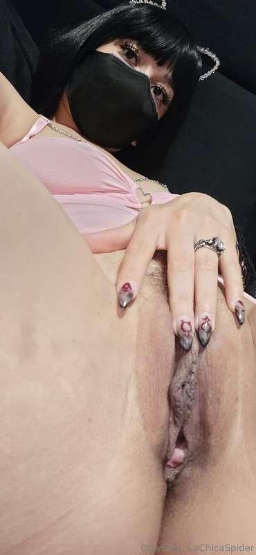 lachicaspider image #2