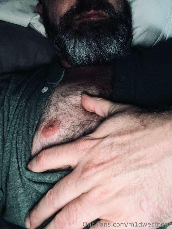 m1dwestbear image #3