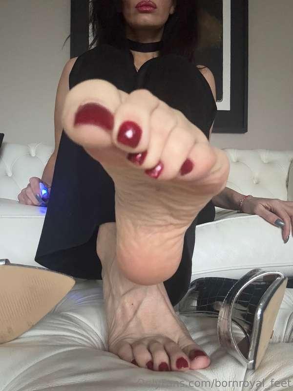 bornroyal_feet image #1