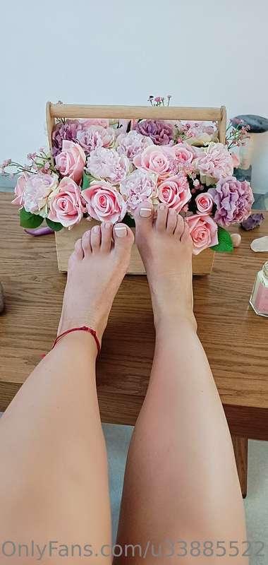 Que día de la semana quieren patitas de cosplayer?