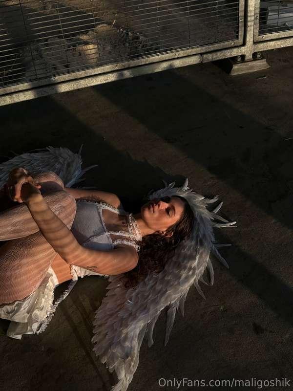 fallen angel