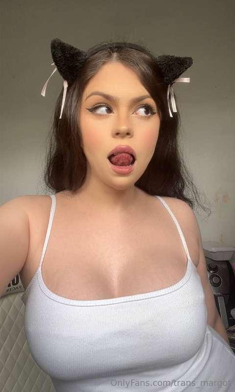 can you make this kitty purrrr?😼
