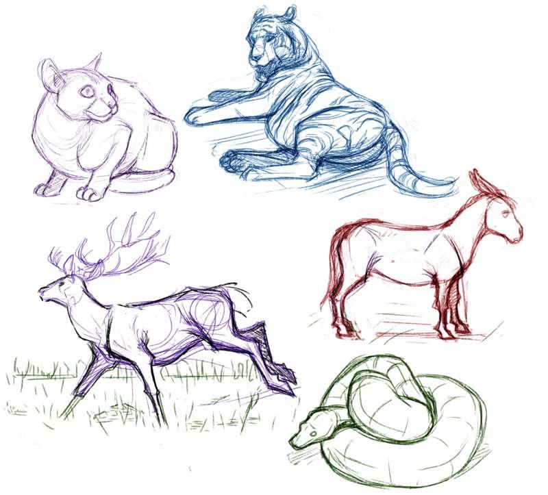 ~Quadruped Study~