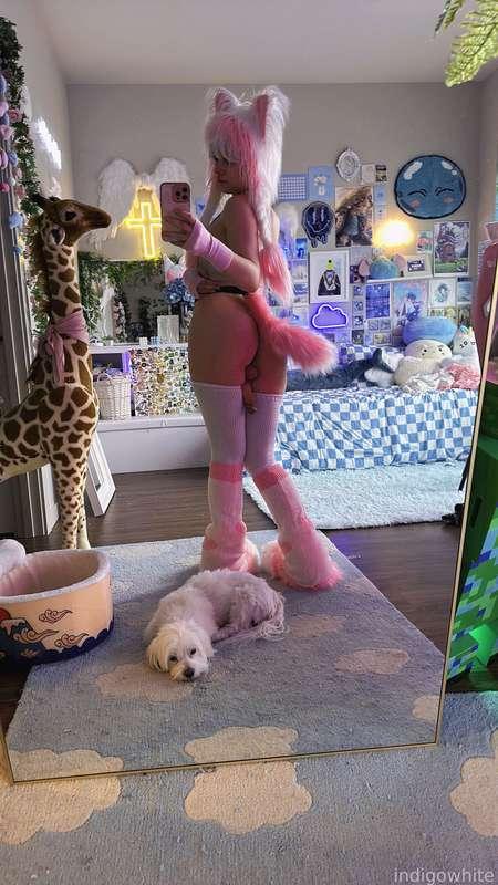 indigowhite image #245