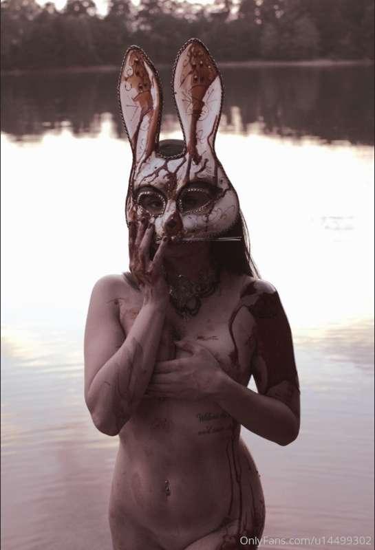 Bad bunny