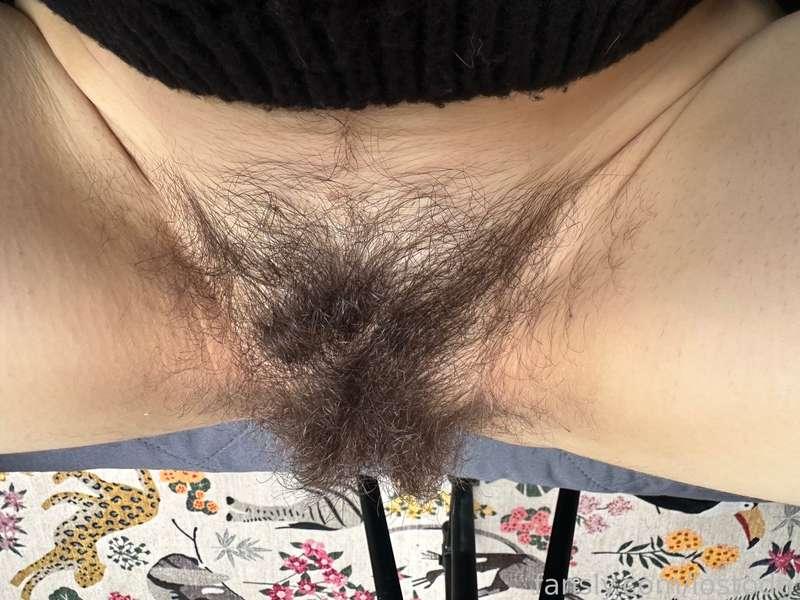 lostodg image #3