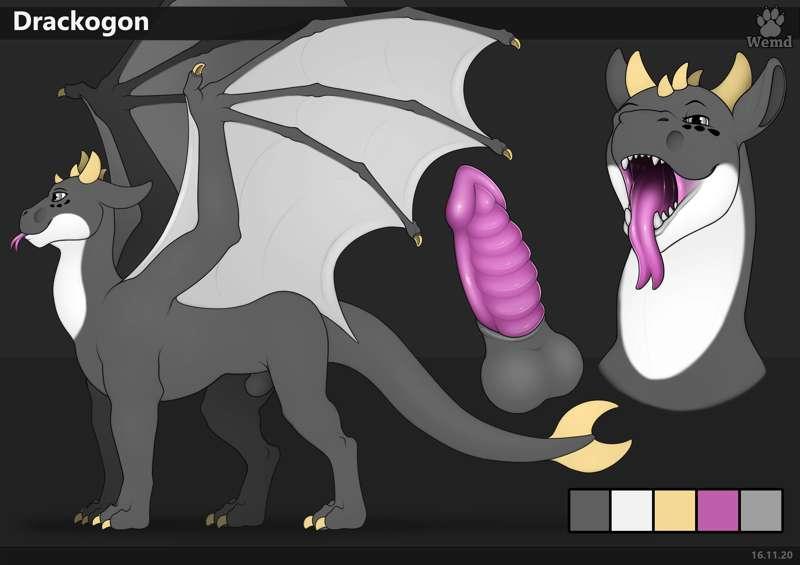Reference For Drackgon [Commission]