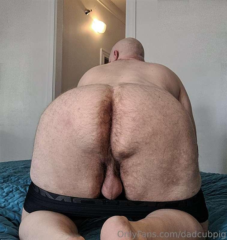 dadcubpig image #2