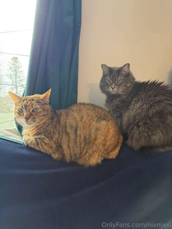 FREE PUSSY ON THE FEED 