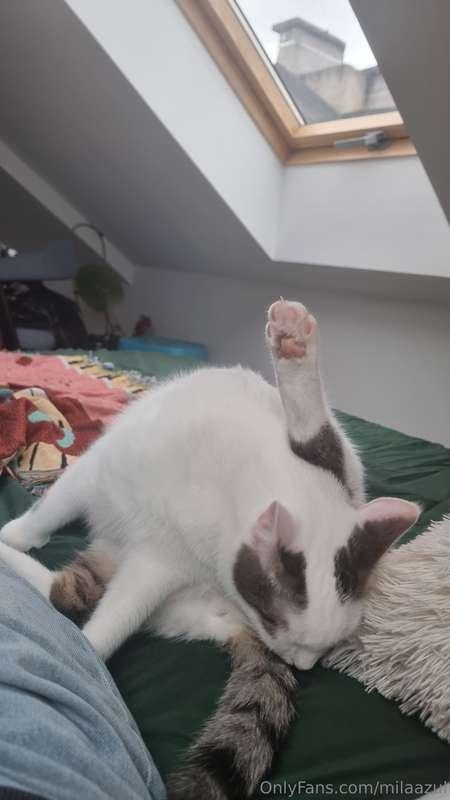 High five from Julius ☻️😸
