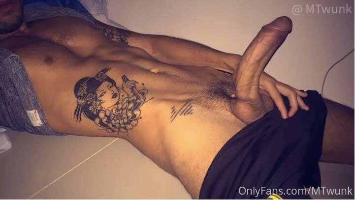 mtwunk image #0