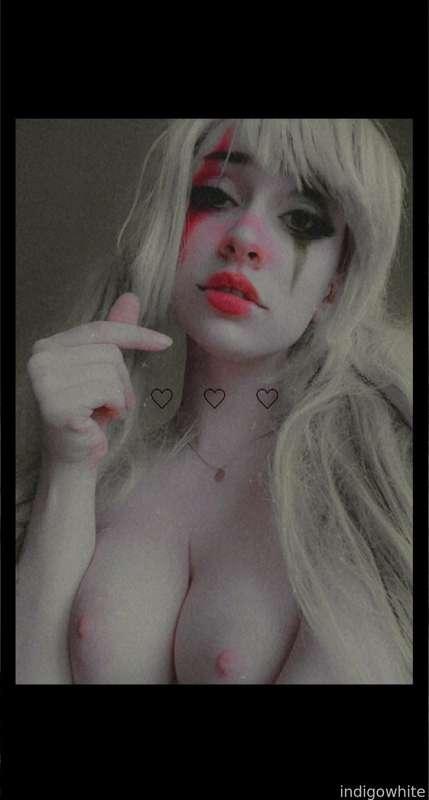 indigowhite image #170