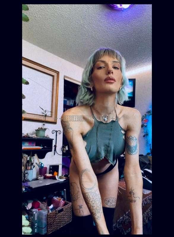 felonywhatevr_free image #0