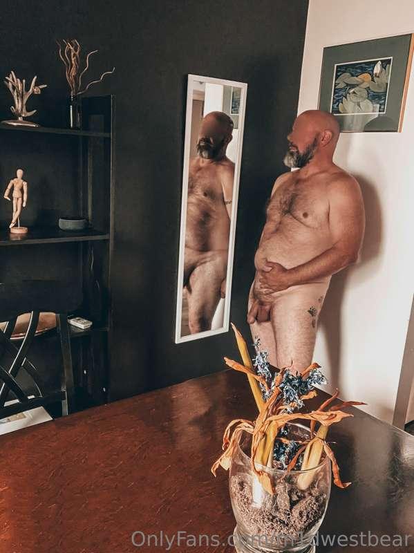 m1dwestbear image #0